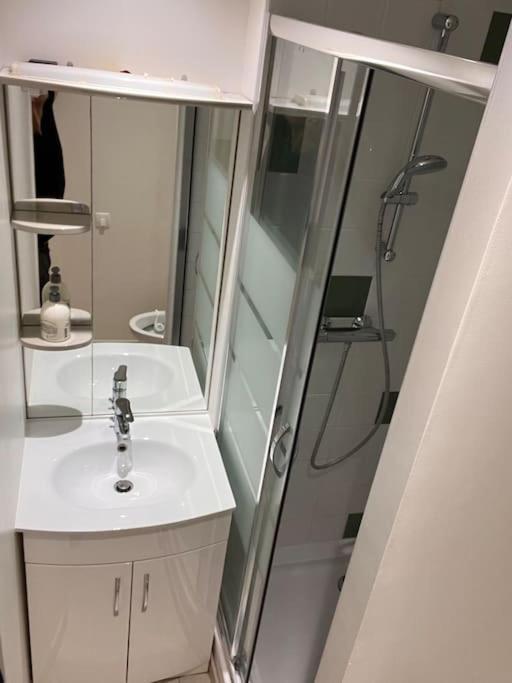 Studio Duplex Centre-Ville Au Calme Avec Parking Fontainebleau Ngoại thất bức ảnh